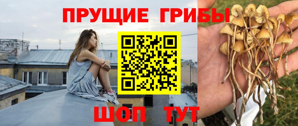 Галлюциногенные грибы прущие грибы Ревда